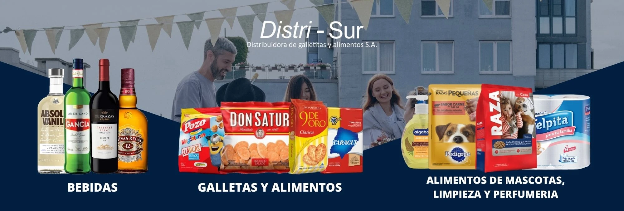 Productos y marcas de Distri-Sur